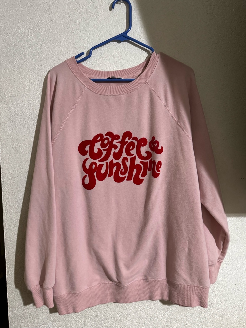 Wildfox Light Pink Graphic Pullover with Red Print